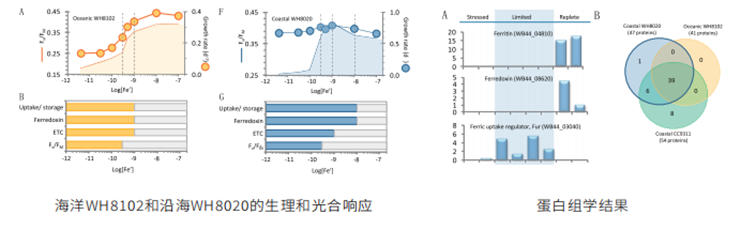 PRM靶向蛋白质组学(图4) PRM靶向蛋白质组学(图4)