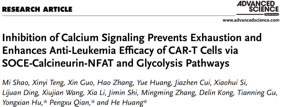 通过SOCE-Calcineurin-NFAT和糖酵解途径抑制钙信号传导可防止CAR-T细胞衰竭并增强抗白血病功.png