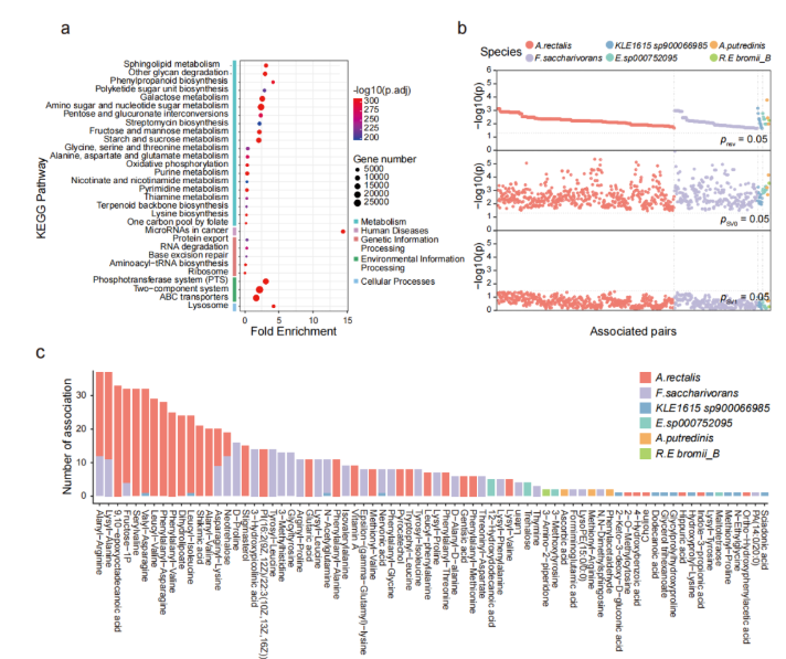 “二代和三代宏基因组+代谢组”三剑合璧，揭秘健康个体间的肠道菌群SV突变(图5)