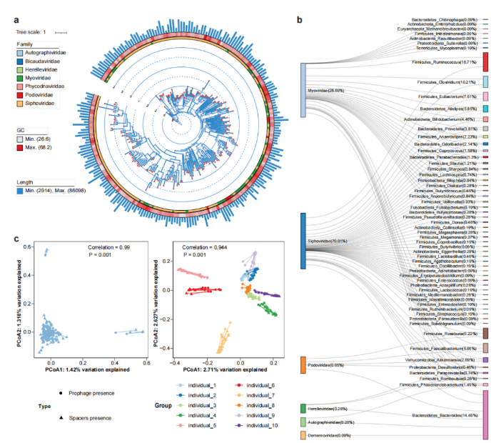 “二代和三代宏基因组+代谢组”三剑合璧，揭秘健康个体间的肠道菌群SV突变(图7)