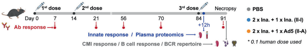 项目文章（IF 38.104）蛋白+转录联合助力新冠肺炎异种疫苗免疫增强作用机理的研究(图1)