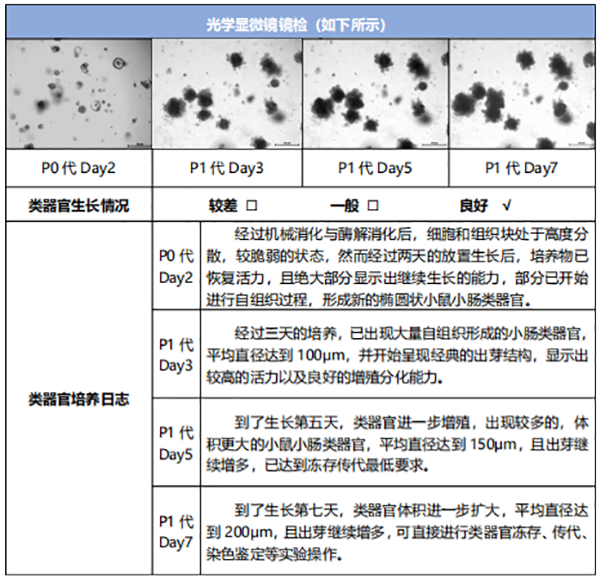 类器官代谢组学