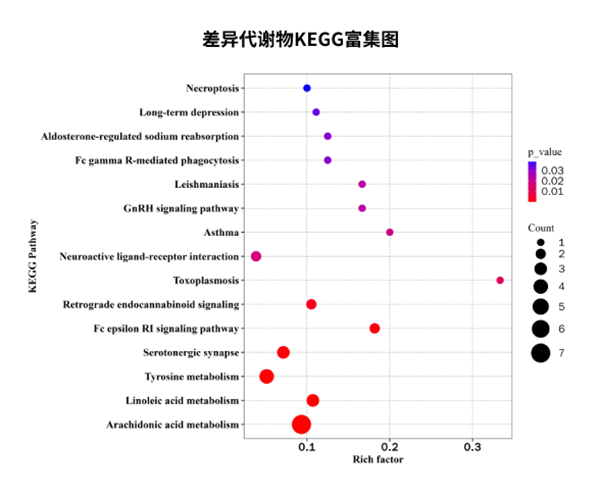 类器官代谢组学