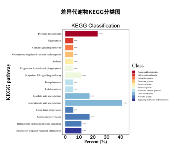 类器官代谢组学