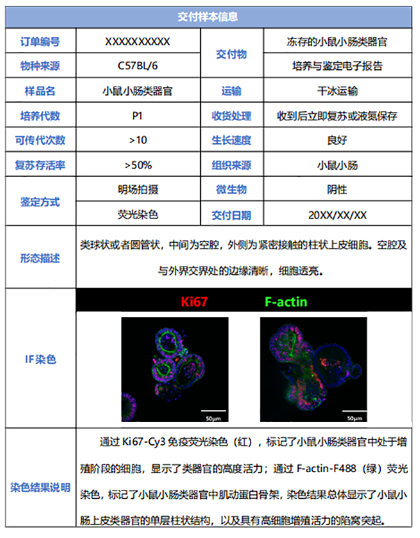 类器官代谢组学