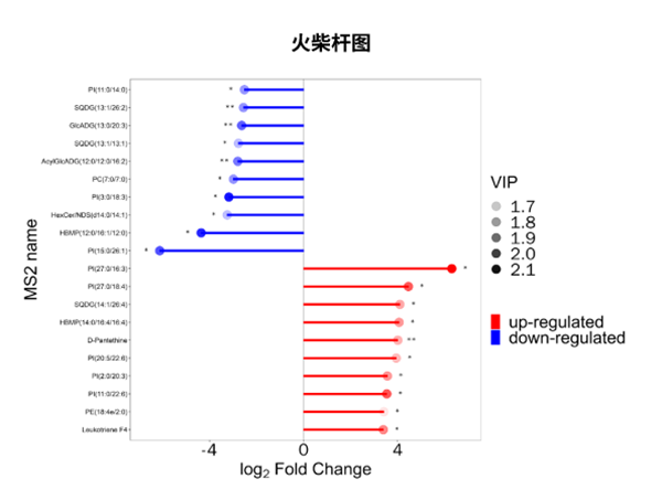 类器官代谢组学