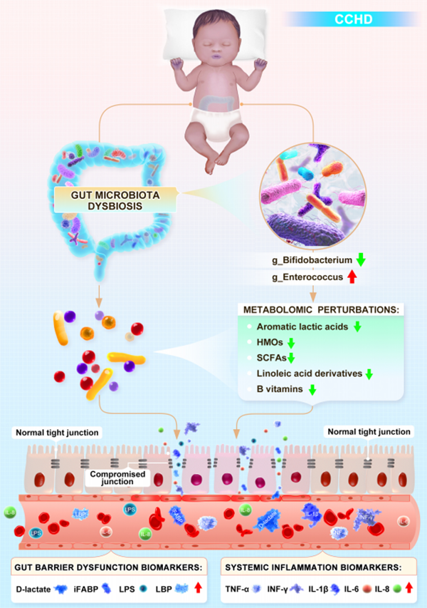 项目文章 | Microbiome又一篇！绘制重症先天性心脏病新生儿肠道微生态全景图谱(图2)