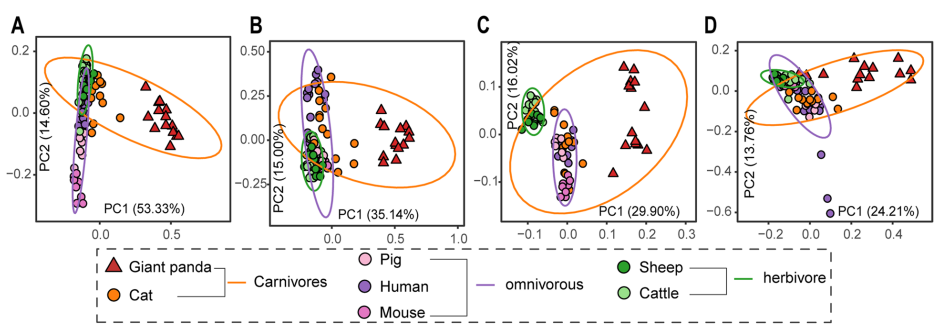 文献分享(IF=15.5) | 大熊猫独特的肠道微生物群与蛋白质代谢：揭示竹食适应的机制(图6)
