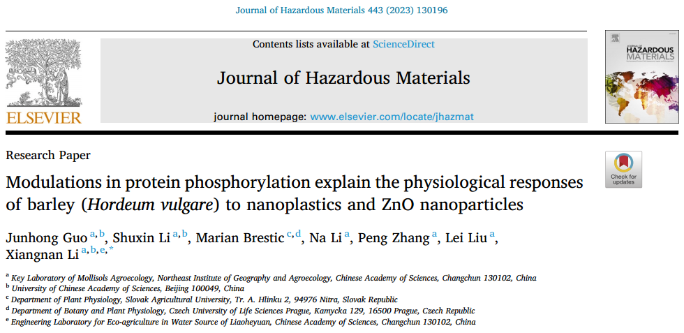 J Hazard Mater(IF=13.6) | 蛋白质磷酸化：大麦应对纳米塑料与氧化锌纳米粒子的关键调控因子(图1)