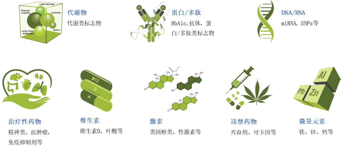 VitaPad-定量干血样本采集保存器(图4)