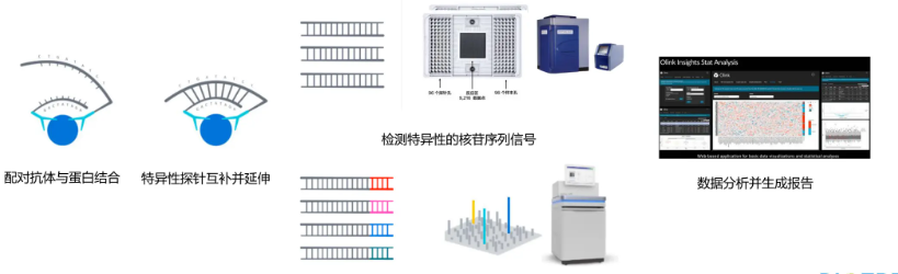 Olink蛋白质组学(图1)