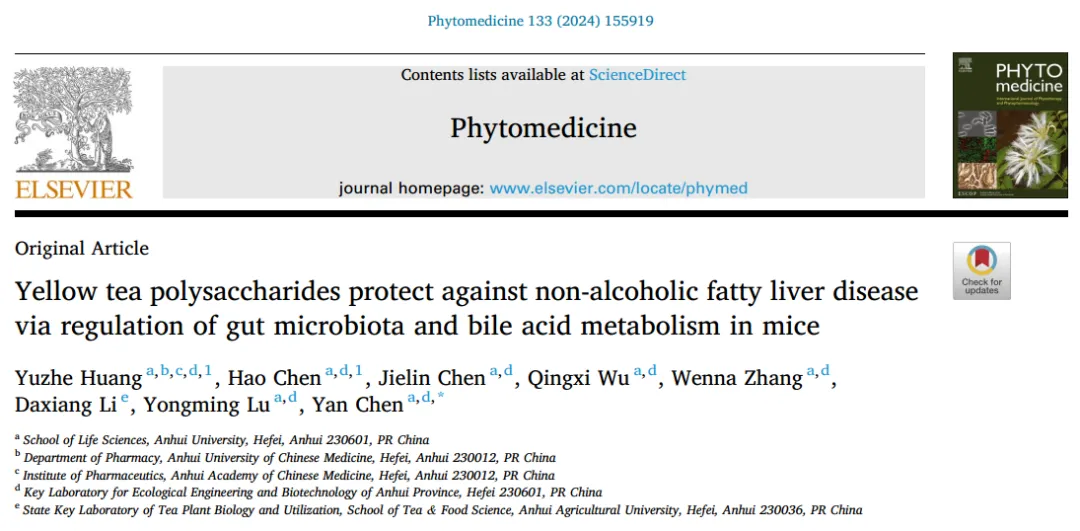 Phytomedicine | 陈彦教授团队发现黄茶多糖在非酒精性脂肪肝病中的调节作用(图1)