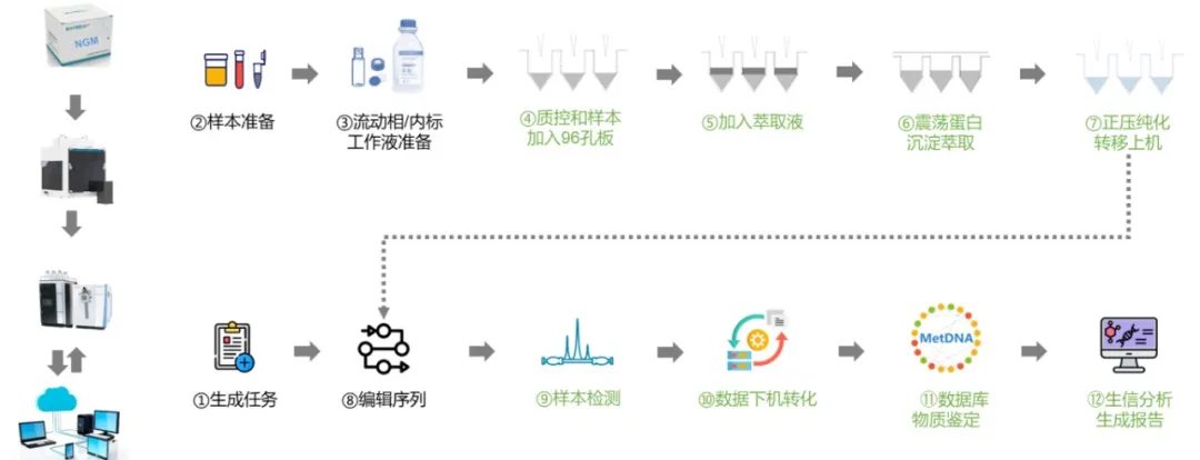 NGM全流程自动化产品方案(图5)