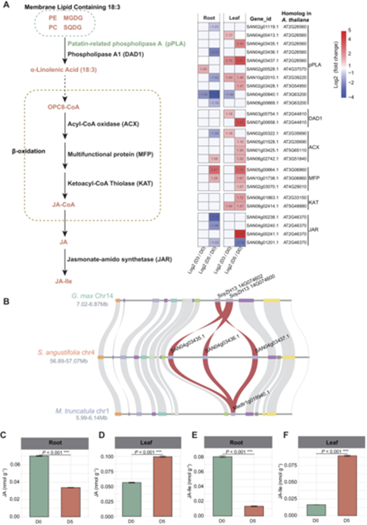 精准植物激素(图2) 精准植物激素(图2)